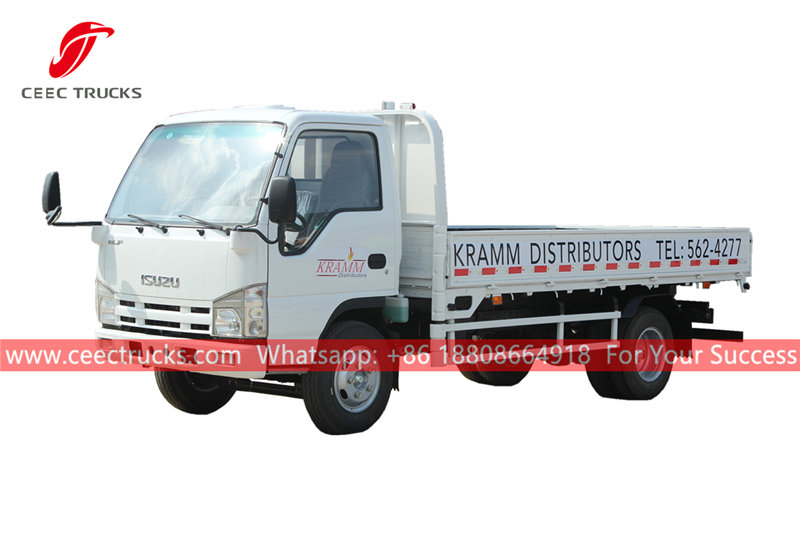 ISUZU mini cargo van for sale