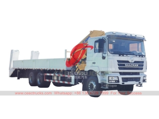 
     شاحنة البضائع الثقيلة Shacman 6 × 4 المصنوعة حسب الطلب مع رافعة XCMG
    