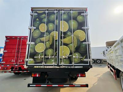 Howo light-duty 5tons freezer van